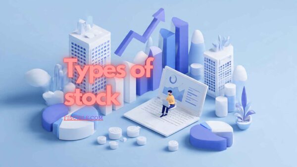 TYPES OF STOCK; A COMPREHENSIVE GUIDE FOR BEGINNERS 