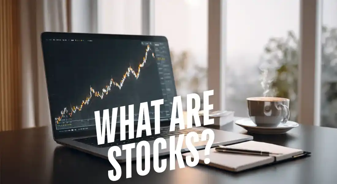 WHAT ARE STOCKS?